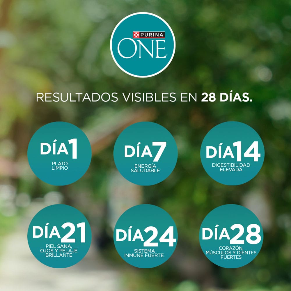 Alimento para Gato PURINA ONE Esterilizado Sabor Pollo y Salmón Bolsa 6Kg