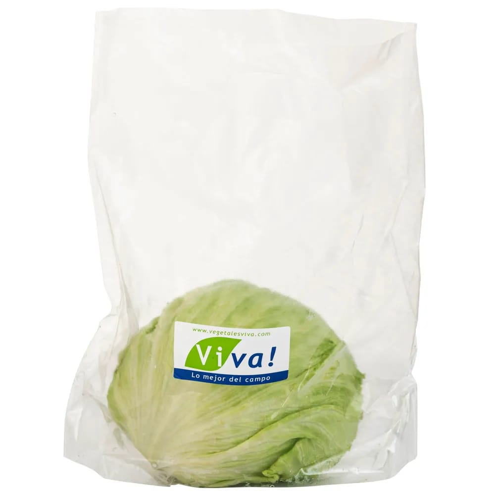 Lechuga Americana de Verano VIVA Bolsa x und.