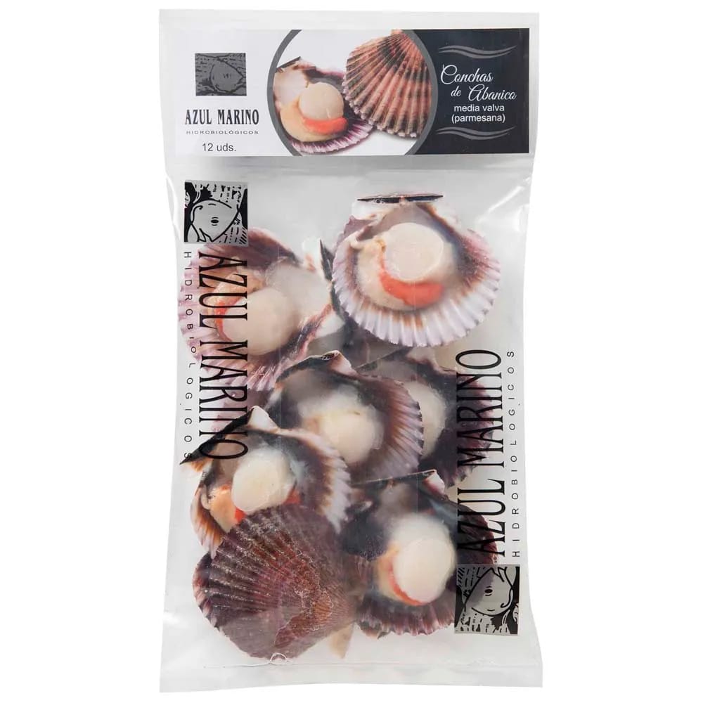 Conchas de Abanico AZUL MARINO Media Valva Bolsa 6un