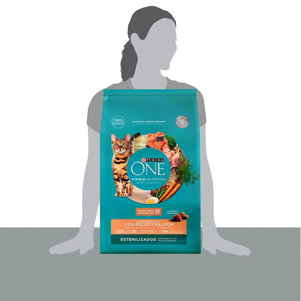 Alimento para Gato PURINA ONE Esterilizado Sabor Pollo y Salmón Bolsa 6Kg