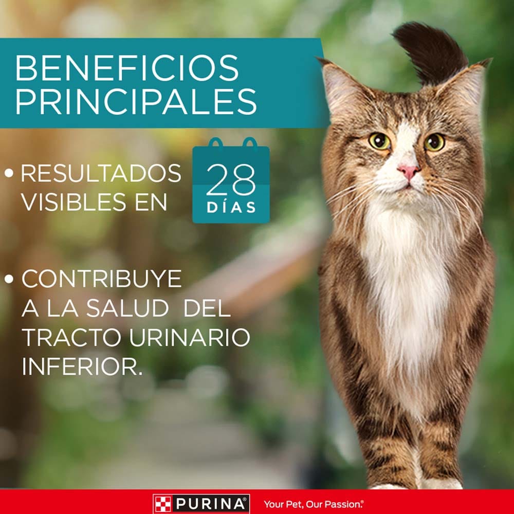 Alimento para Gato PURINA ONE Adulto Sabor Pollo y Salmón Bolsa 2Kg