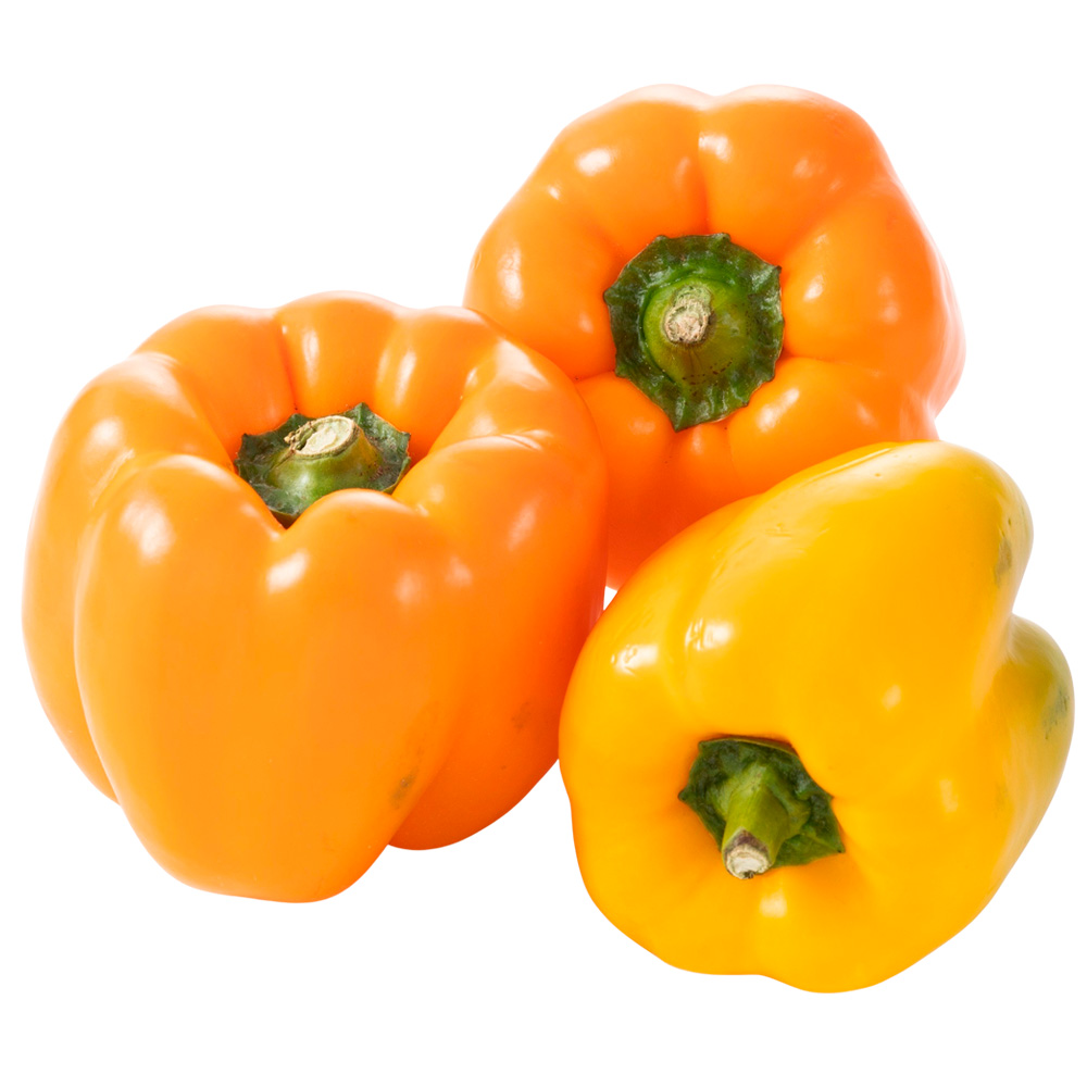 Pimiento de Color xkg