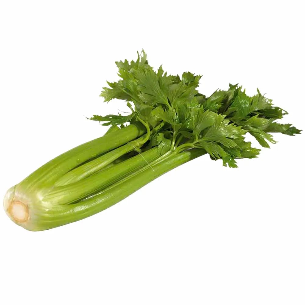 Apio VIVA en Atado x und.