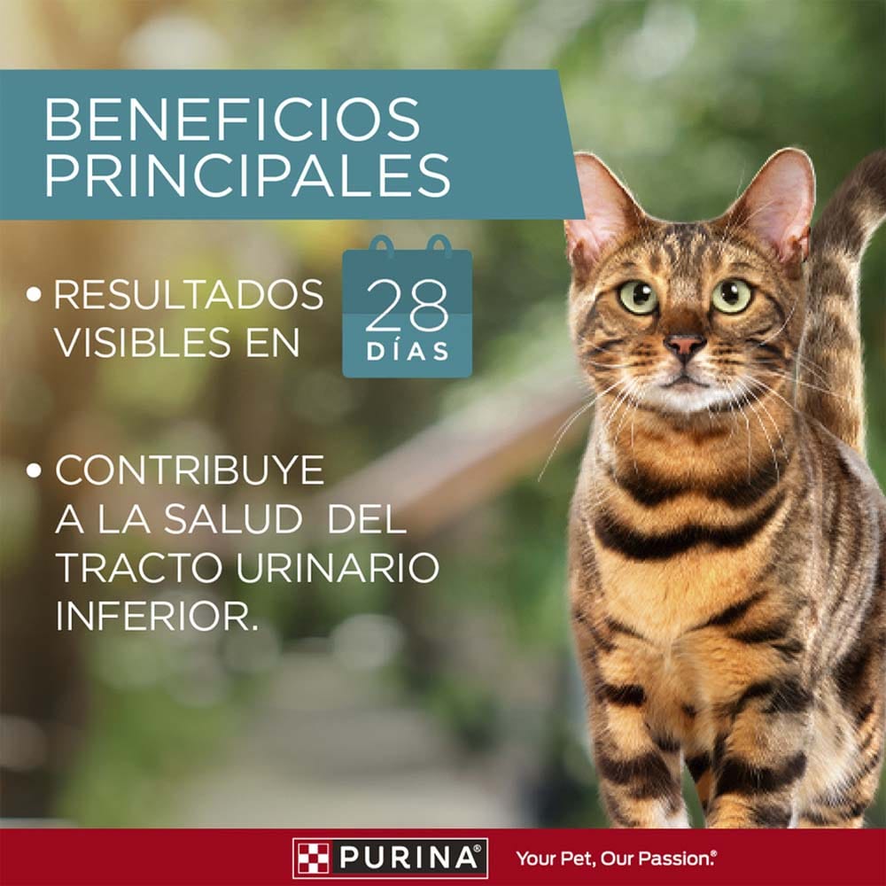 Alimento para Gato PURINA ONE Esterilizado Sabor Pollo y Salmón Bolsa 6Kg