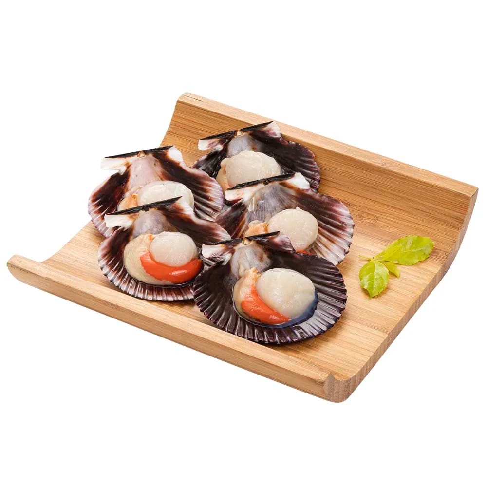 Conchas de Abanico AZUL MARINO Media Valva Bolsa 6un