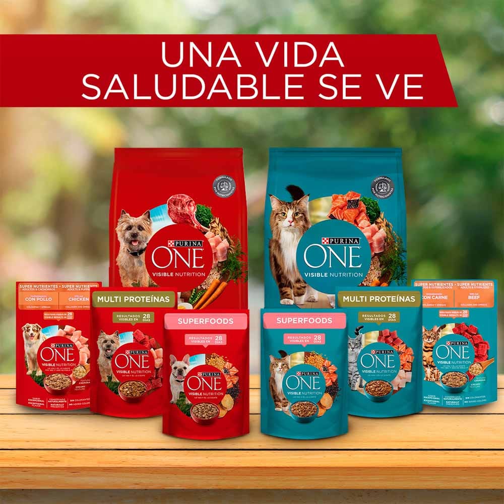 Alimento para Gato PURINA ONE Adulto Sabor Pollo y Salmón Bolsa 2Kg