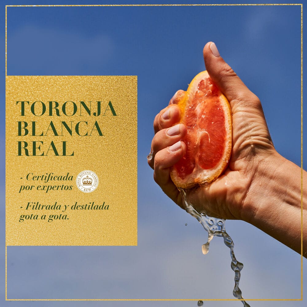 Tratamiento Capilar HERBAL ESSENCES White Grape Fruit Pote 300ml