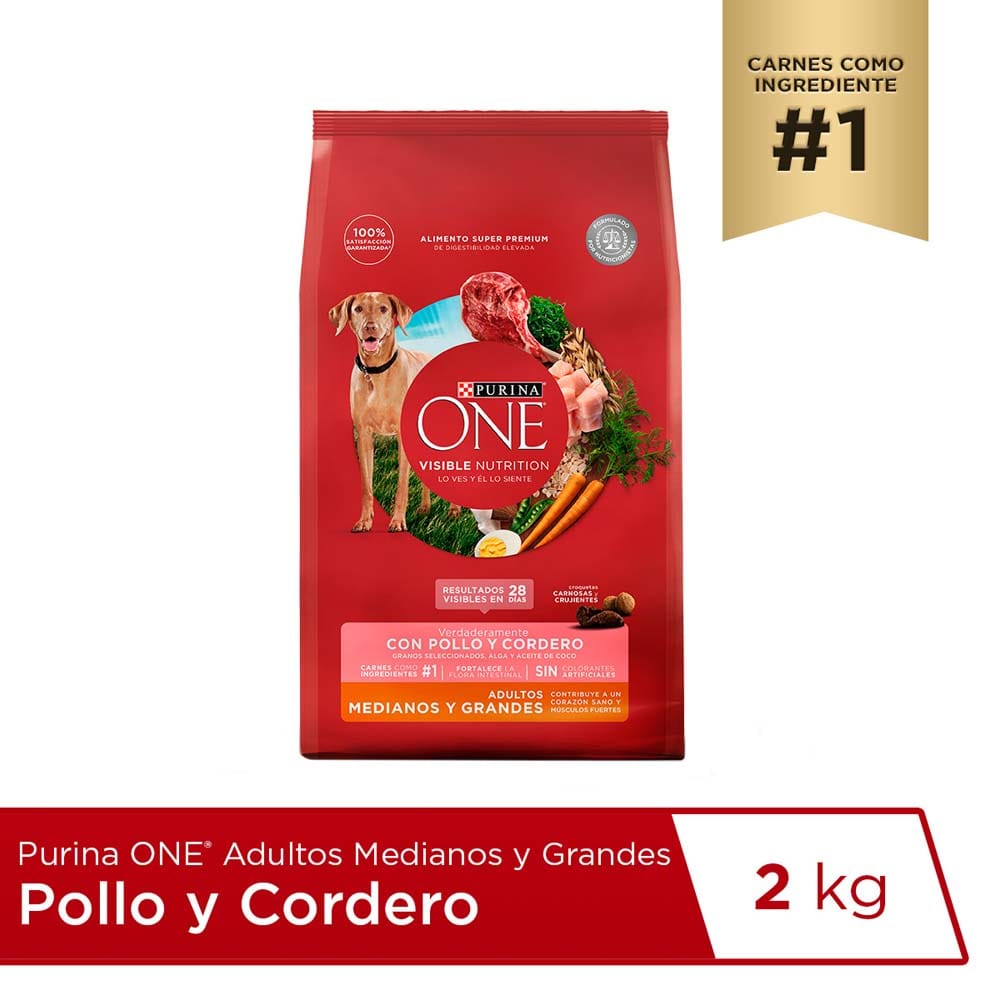 Alimento para Perro ONE Adulto Medianos y Grandes Sabor Pollo y Cordero Bolsa 2Kg