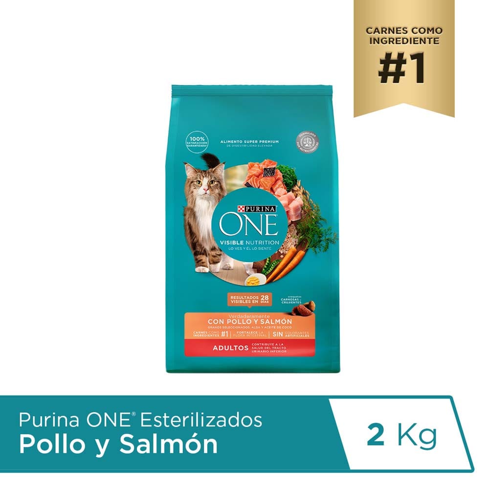 Alimento para Gato PURINA ONE Adulto Sabor Pollo y Salmón Bolsa 2Kg