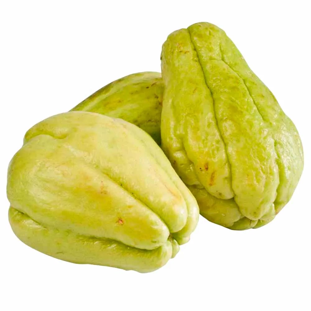 Caigua Chilena x und.