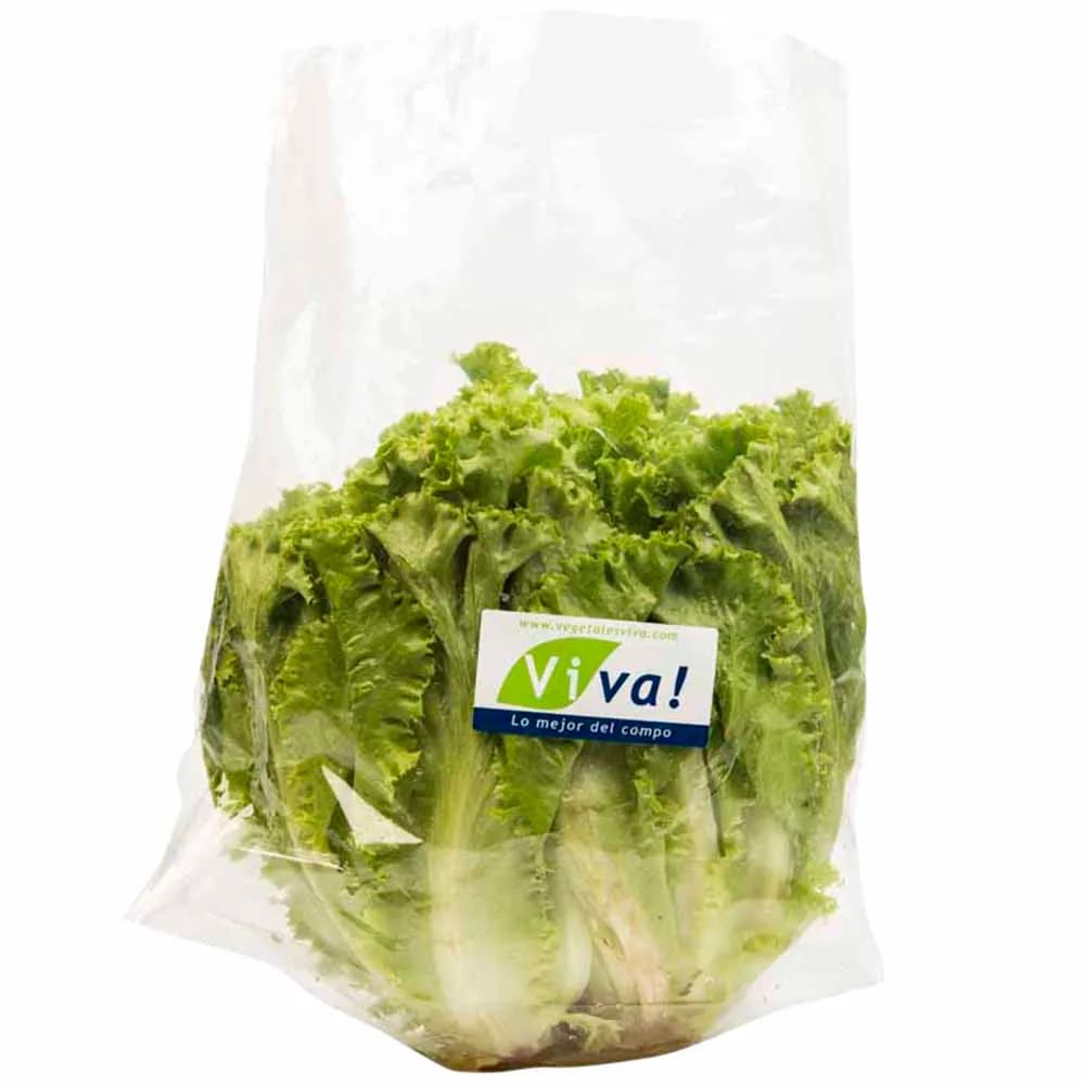 Lechuga Crespa VIVA x und.