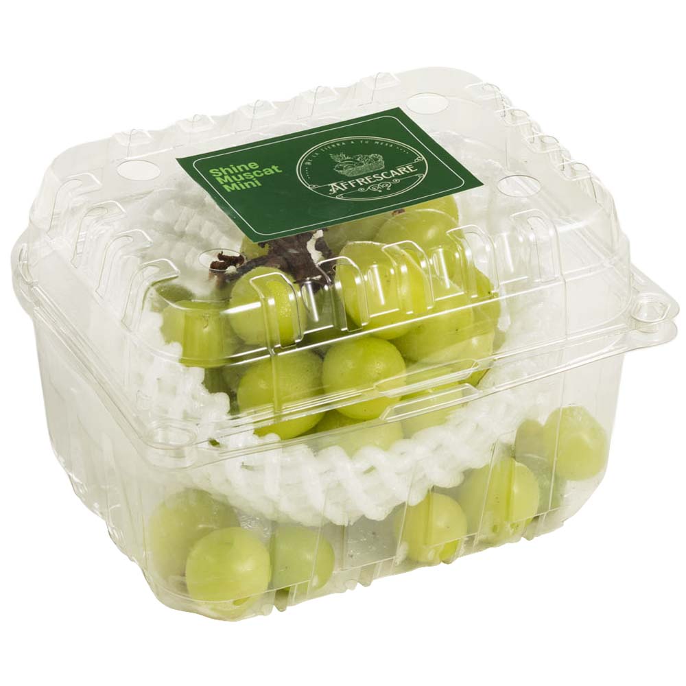 Uva Shine Muscat AFFRESCARE Paquete 500g