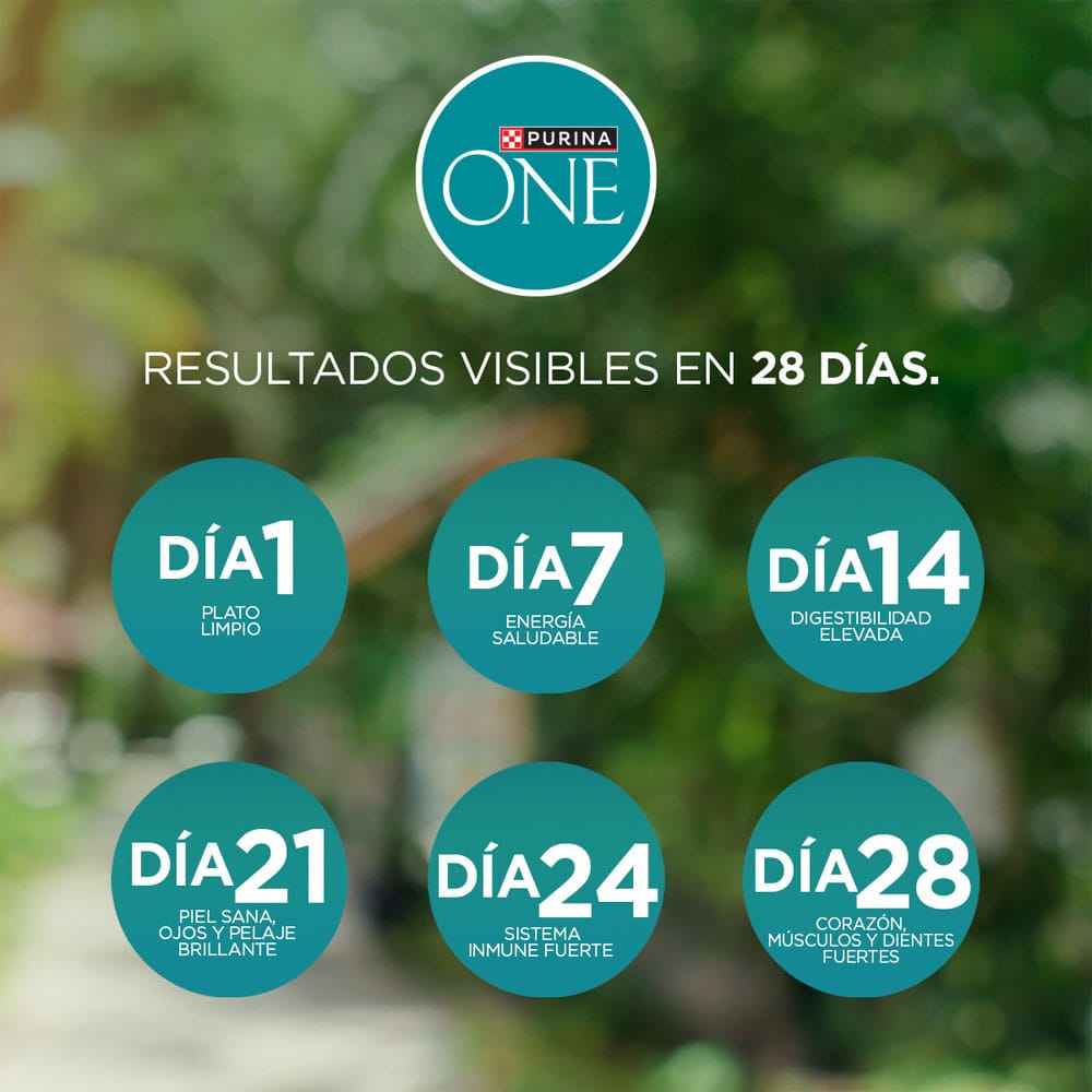 Alimento para Gato PURINA ONE Adulto Sabor Pollo y Salmón Bolsa 2Kg