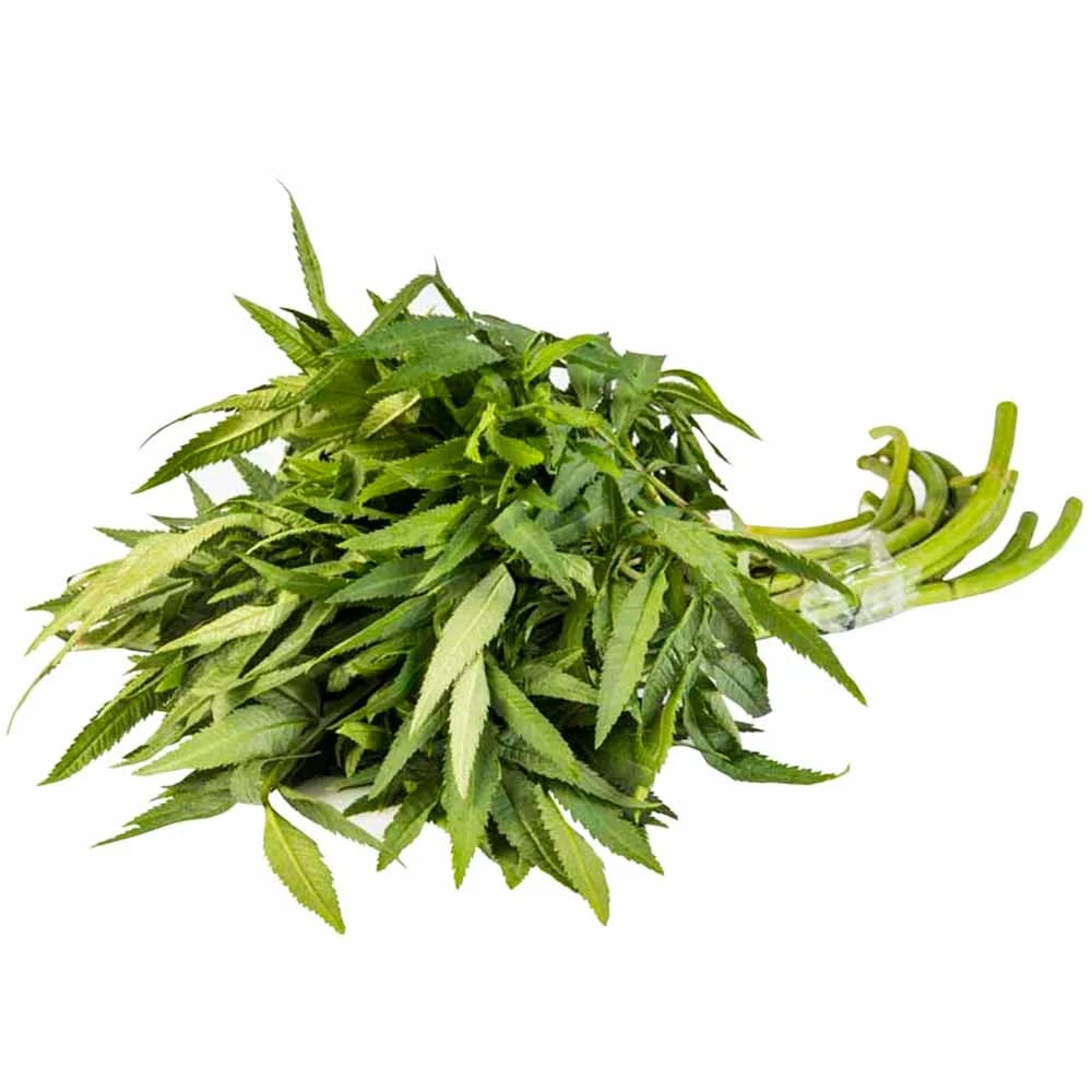 Huacatay en Atado x und.