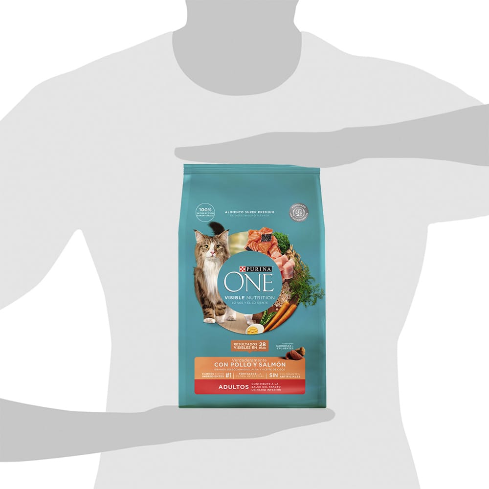 Alimento para Gato PURINA ONE Adulto Sabor Pollo y Salmón Bolsa 2Kg